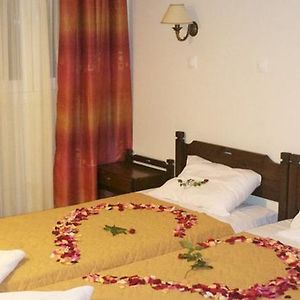 Studio mit Queensize-Bett